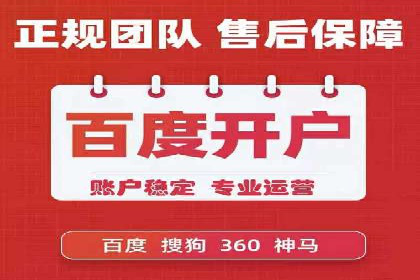 竞价代运营成功案例解析